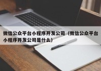 微信公众平台小程序开发公司（微信公众平台小程序开发公司是什么）