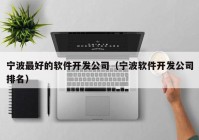 宁波最好的软件开发公司（宁波软件开发公司排名）