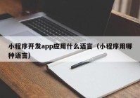 小程序开发app应用什么语言（小程序用哪种语言）