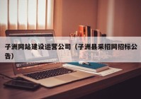 子洲网站建设运营公司（子洲县采招网招标公告）