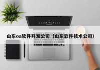 山东oa软件开发公司（山东软件技术公司）