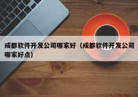 成都软件开发公司哪家好（成都软件开发公司哪家好点）