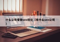 什么公司爱做seo优化（有什么seo公司）