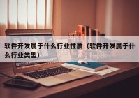 软件开发属于什么行业性质（软件开发属于什么行业类型）