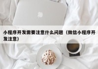 小程序开发需要注意什么问题（微信小程序开发注意）