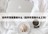 软件开发需要做什么（软件开发做什么工作）