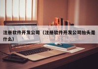 注册软件开发公司（注册软件开发公司抬头是什么）