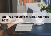 软件开发是什么公司类型（软件开发是什么企业类型）