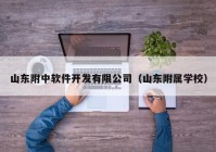 山东附中软件开发有限公司（山东附属学校）